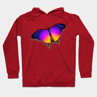 Colorful Butterfly Hoodie